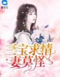 三宝求情妻莫怪